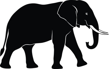 Fototapeta premium Majestic African Elephant Silhouette Walking