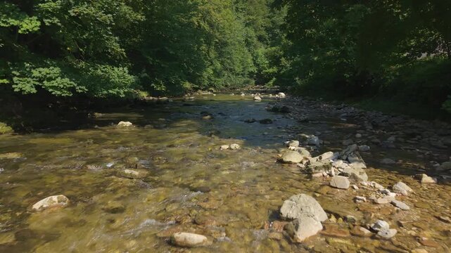 Aerial shot of Aurach river flowing through lush forest in Altmunster, Austria
