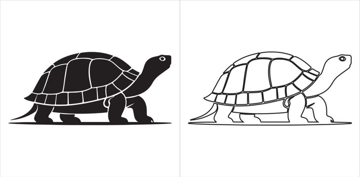 Stylized tortoise illustration in silhouette and outline versions with detailed shell segments and walking posture design