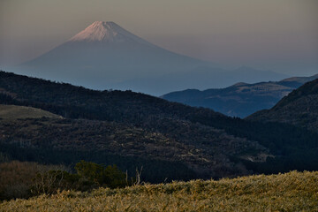 Fototapeta premium 伊豆から見る富士山