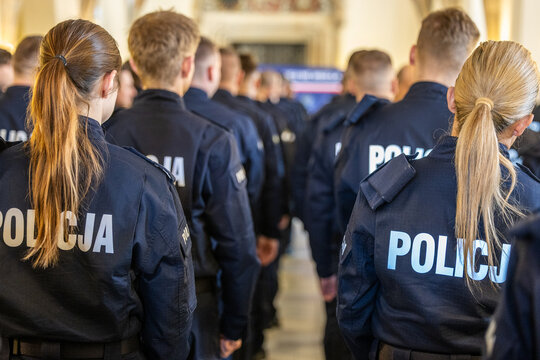Grupa policjant&oacute;w w mundurach widok z tyłu