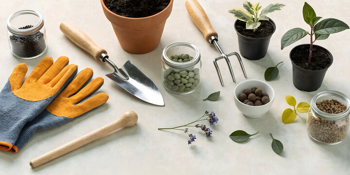 Gardening Tools Flat Lay on Pastel Background, Spring Preparation