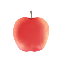 Obraz premium 水彩風のりんごのイラスト