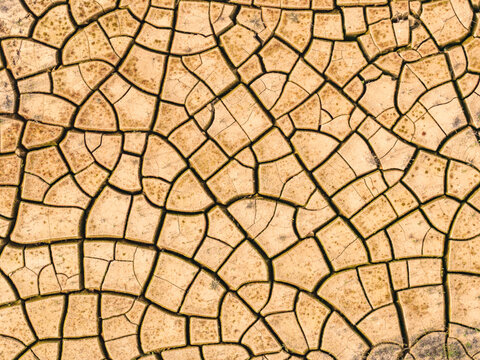 Aerial view of a parched earth, its cracked surface a mosaic of dry, golden tones, hinting at the arid landscape stretching beneath the sun, Atessa, Abruzzo, Italy.