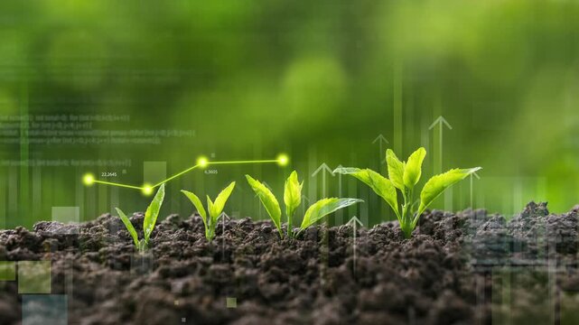 The concept of sustainable investment and business growth; green investment; environmental responsibility; green seedlings growing in the soil; with a green financial graph.