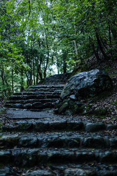 Natural stone stairs and walking path surrounded by trees, Japan.