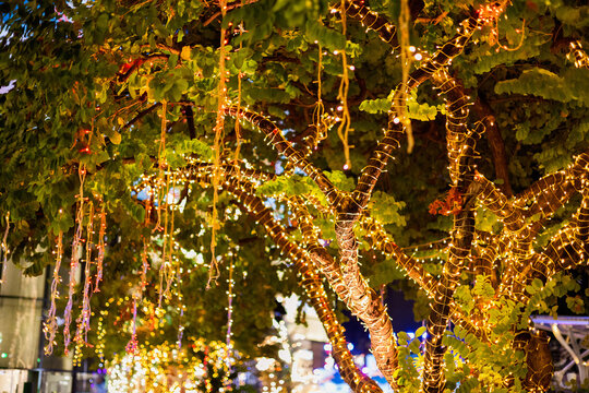 Beautiful golden fairy lights hanging from tree branches with dark night background.