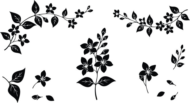 A versatile set of detailed jasmine flower and vine silhouettes, perfect for elegant botanical designs, natural cosmetic packaging, wedding invitations, and serene aromatherapy themes
