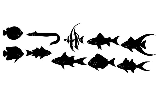 Black and white fish silhouette set vector with different aquatic animals collection isolated on white background