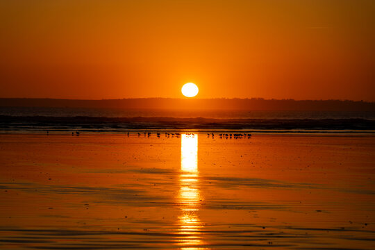 Coucher de soleil sur la mer avec reflet dor&eacute; sur le sable humide, silhouettes d&rsquo;oiseaux au loin et horizon calme. Ambiance paisible sur la presqu&rsquo;&icirc;le de Crozon, Bretagne.
