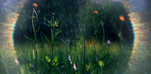 Naklejka premium green background, eco concept, sunbeam glare, a frame of light on a summer backdrop of blurred fresh grass