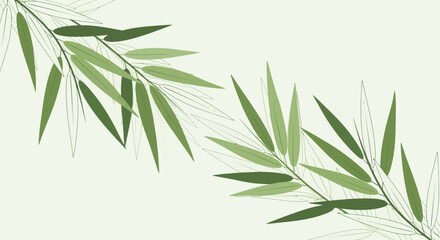 Fototapeta premium Green Bamboo Leaves on a Light Background.