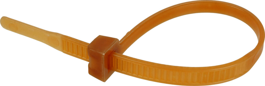 Cable tie fastener isolated on white background