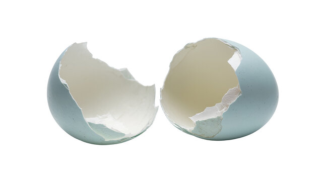 Two broken blue-green eggshell halves, revealing delicate inner membrane, isolated on transparent background, a symbol of new life and fragility PNG