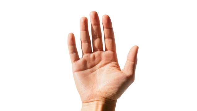 Human hand with palm facing forward and fingers slightly spread, isolated on transparent background, ready for graphic design projects PNG