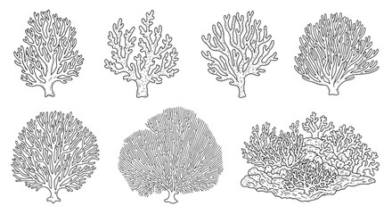 Coral Reef Illustrations in Black. © MUHRODIN