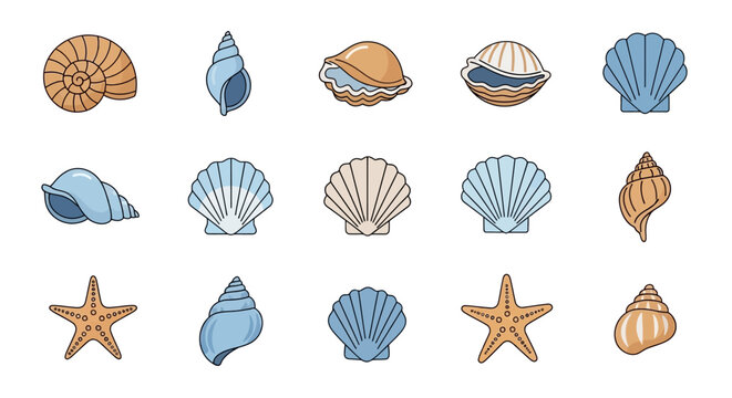 Collection of various seashells and starfish.
