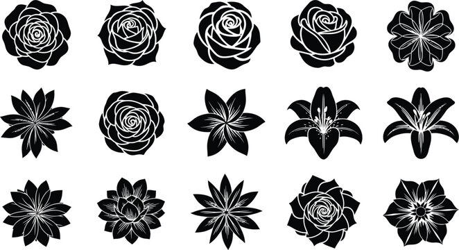 Black and white floral silhouettes of roses and lilies flower lily
