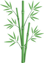 Fototapeta premium Vibrant green bamboo stalks with delicate leaves vector illustration for natural designs