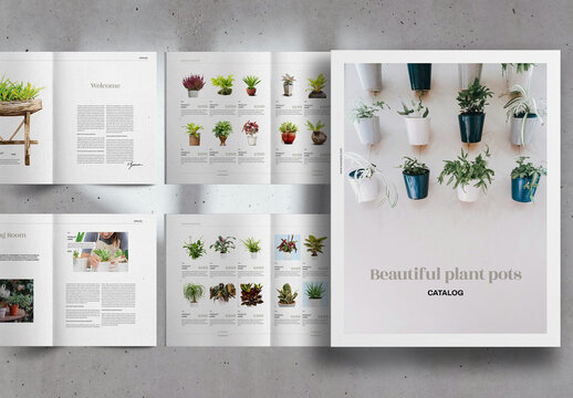 Modern Minimal Plant Pots Catalog Brochure Layout