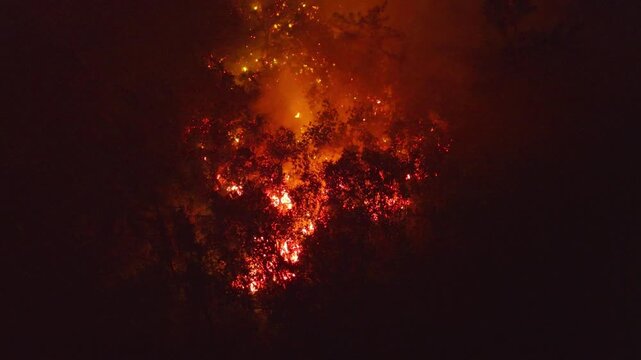 France - Reunion Island - Volcanic eruption, lava in the forest going to the sea - fix then forward