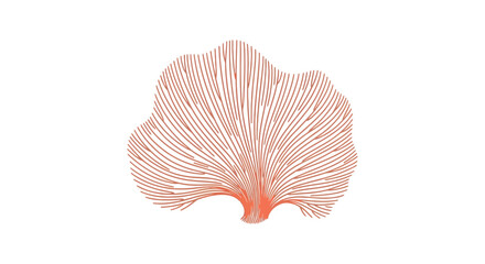 Close up of pink sea fan. © sarmadi