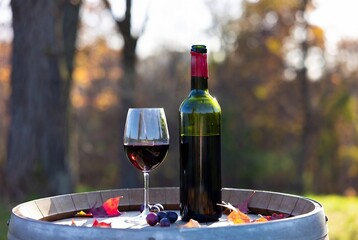 Naklejka premium A bottle of red wine and a glass are presented on a barrel with autumn leaves, suggesting a fall scene.