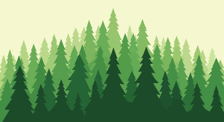 Evergreen trees in a forest. © ahmad