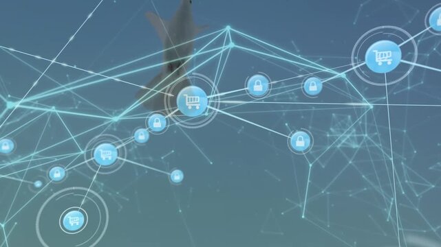 Animation of network of connections with icons over pigeon