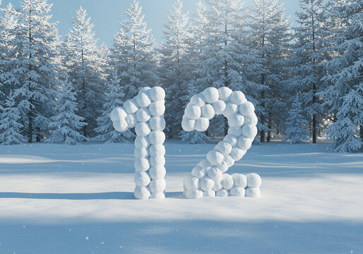 Snowball number twelve winter scene