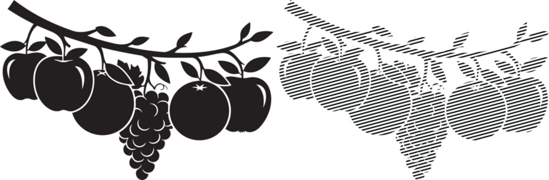 Classic illustration of grapes and grapevine leaf patterns contrasted side by side