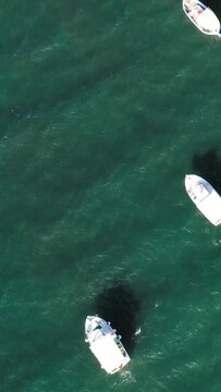 Top-down drone shot of small boats floating on clear turquoise water near Koroni, Greece. Peaceful maritime scene with vivid colors and gentle waves.