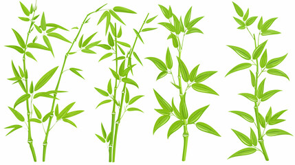 Naklejka premium Green bamboo stalks with lush leaves against a white backdrop in a graphic illustration