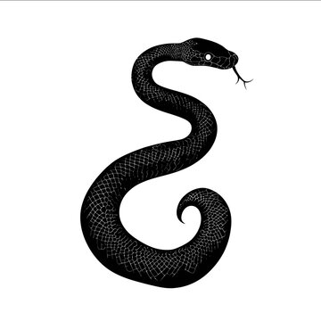 black silhouette African rock python on a white backgrounk vector