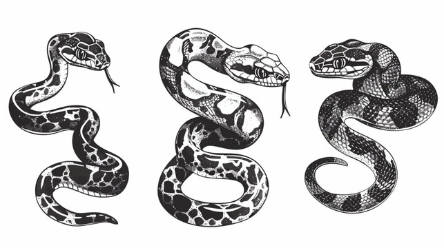Three stylized snakes with textured scales, tongues out, in black and white