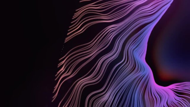 Abstract purple glowing lines with blue waves and lens flares in fluid motion on black background loop