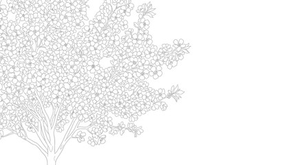 Obraz premium Delicate Cherry Blossom Tree Outline Drawing, Minimalist Spring Nature Illustration