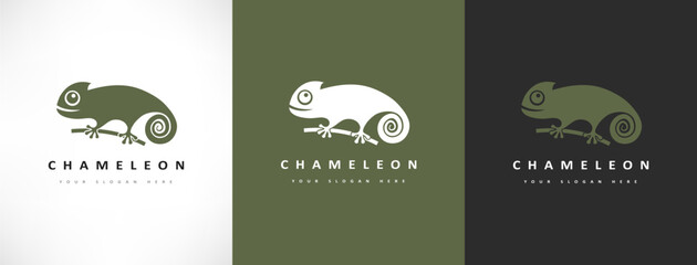 chameleon logo vector. lizard design © Natalia Iachimova