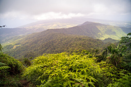 During a hike on a morne in martinique island - french antilles 