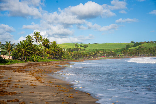 Near the coast in martinique - French Antilles