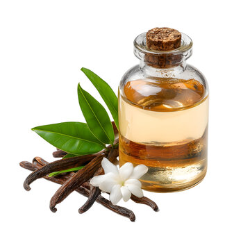 Isolated ingredientstyle commercial photo of Tahitian monoi on white background perfect studio light isolated