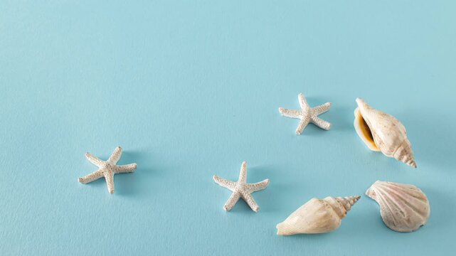 Seashells and starfish on a brght blue background. Summer beach vacation idea. Stop motion.