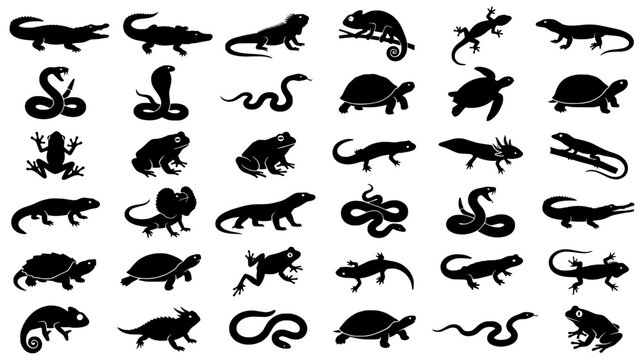Comprehensive collection of thirty six reptile and amphibian silhouettes including snakes turtles frogs and lizards