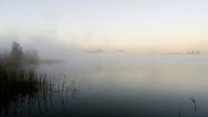 Fototapeta premium Lake surface shrouded in dense morning fog at marsh shoreline