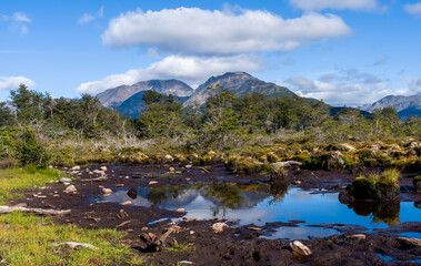 Fototapeta premium views whilst walking the Reserva Natural Cerro Alarkén Ushuaia Argentina