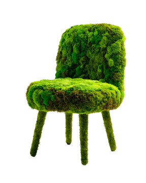 Moss-Covered Chair: An artistic, moss-covered chair captivates with its organic design, blending nature with art. The chair's inviting form is an ode to eco-friendly design.
