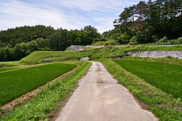 Obraz premium 長野県 麻績村の景色