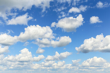Fototapeta premium Blue cloudy sky. Beautiful blue sky with many white fluffy cumulus clouds in sunlight background texture