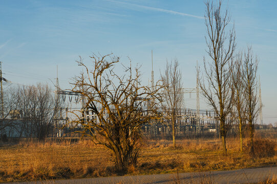 Landscape with bare trees in front of a technical electrical substation