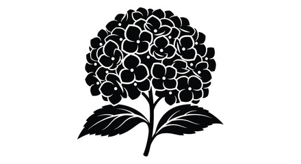 A striking black and white illustration depicts a full hydrangea bloom with detailed petals and leaves © ArtBySalea07
